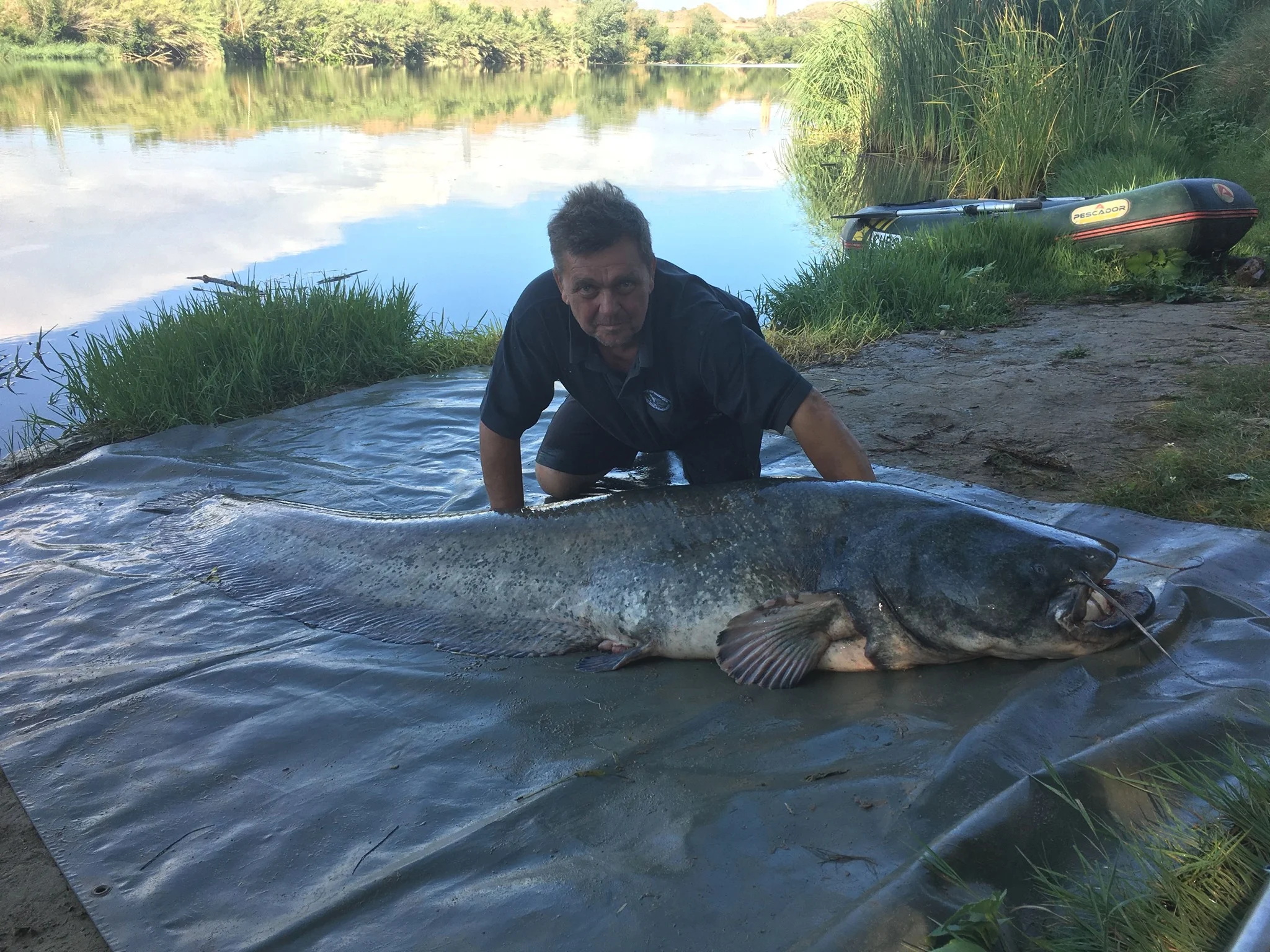 An angler poses with a world record wels catfish.