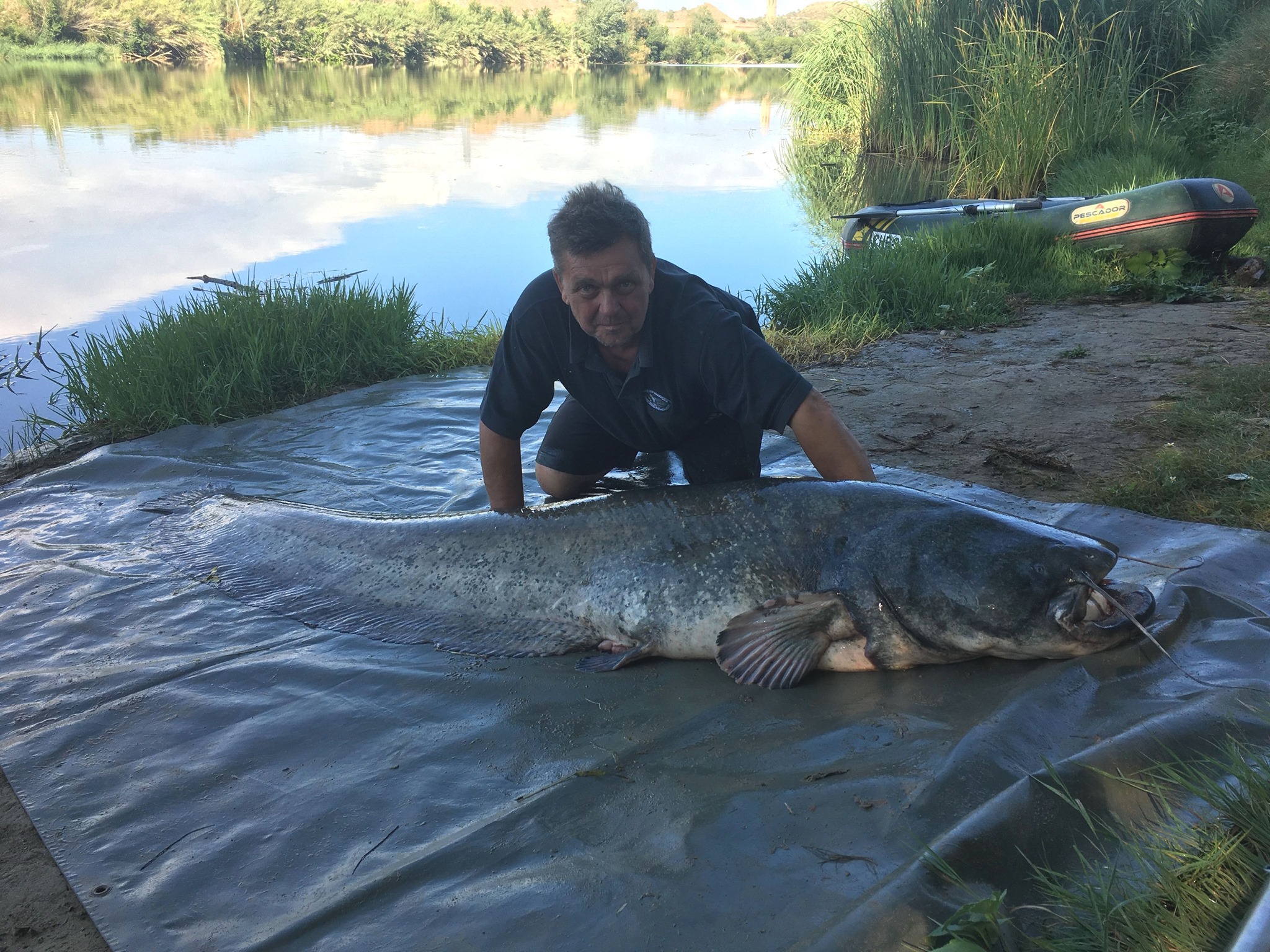 An angler poses with a world record wels catfish.