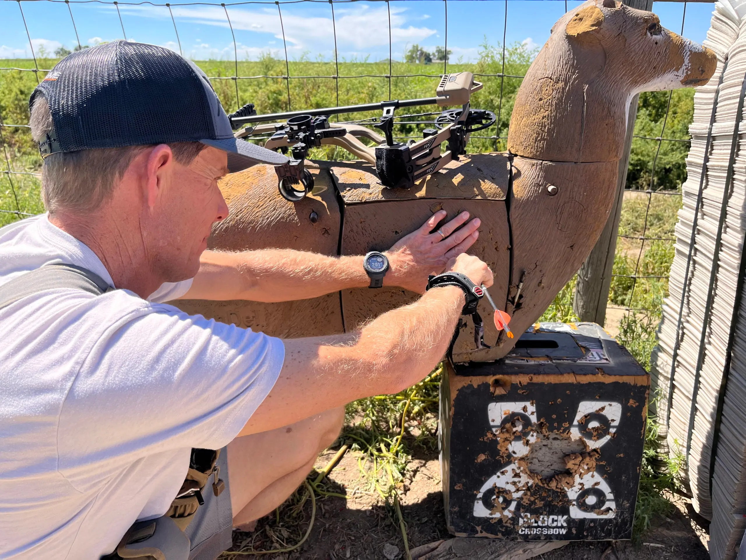 photo of archer sighting in a compound bow