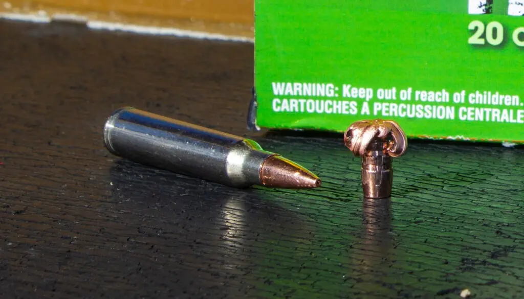 .22-caliber deer ammo