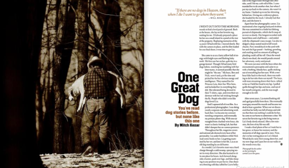 Classic hunting dog story from Field & Stream