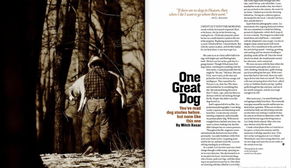 Classic hunting dog story from Field & Stream