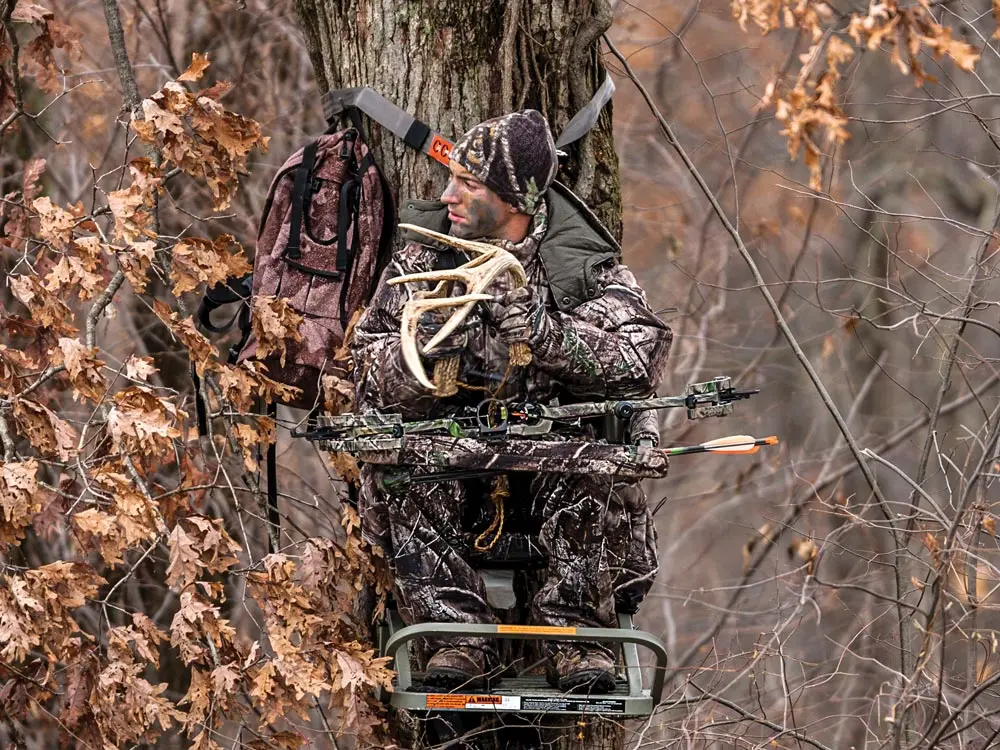 Rattling antlers attracts late rut buck