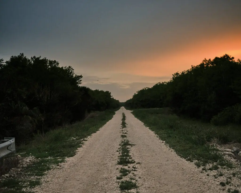 One of the many long, straight roads that python hunters follow to find their quarry.