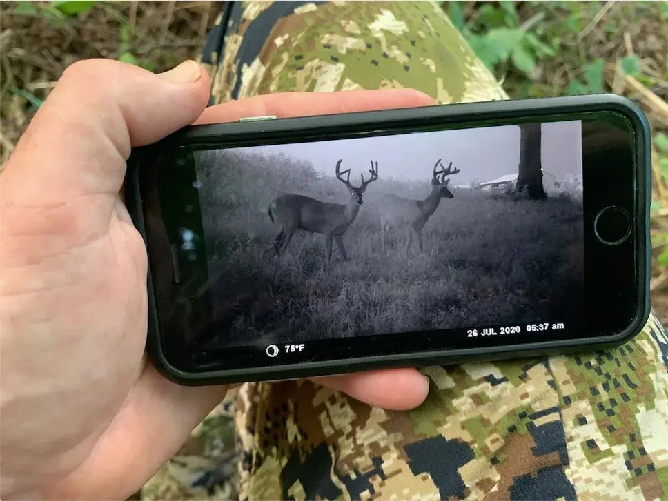 A hunter checks a cell-camera picture of two whitetail bucks on a phone. 