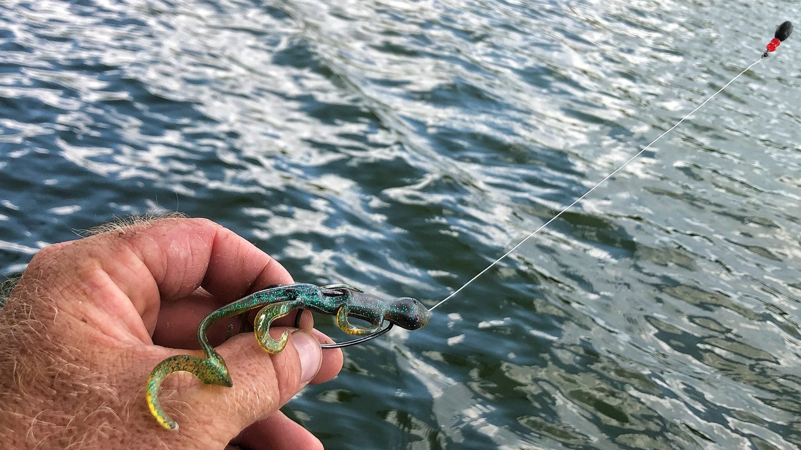 photo of a Carolina rig for bass