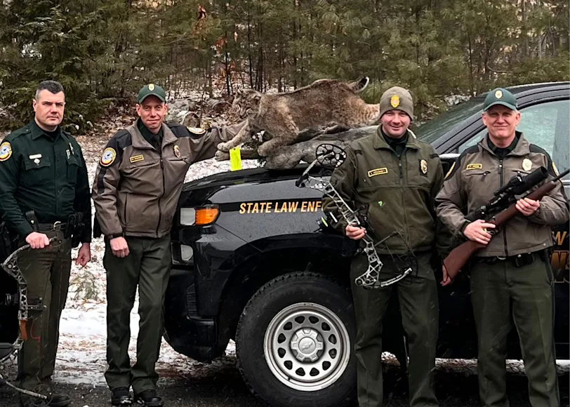 New Hampshire Fish & Game agents pose with a bobcat mount seized during "Operating Night Cat."