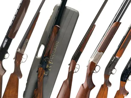 A collage of shotguns on a white background.