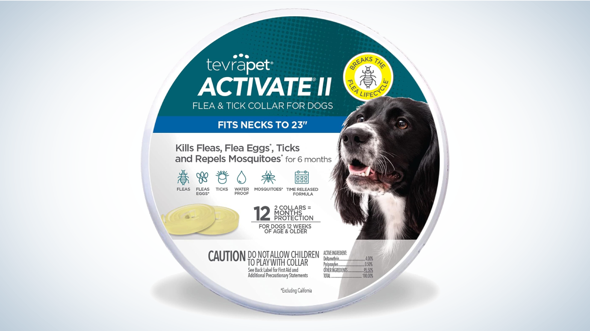 Best Tick Collars for Dogs: TevraPet Activate II Flea and Tick Collar