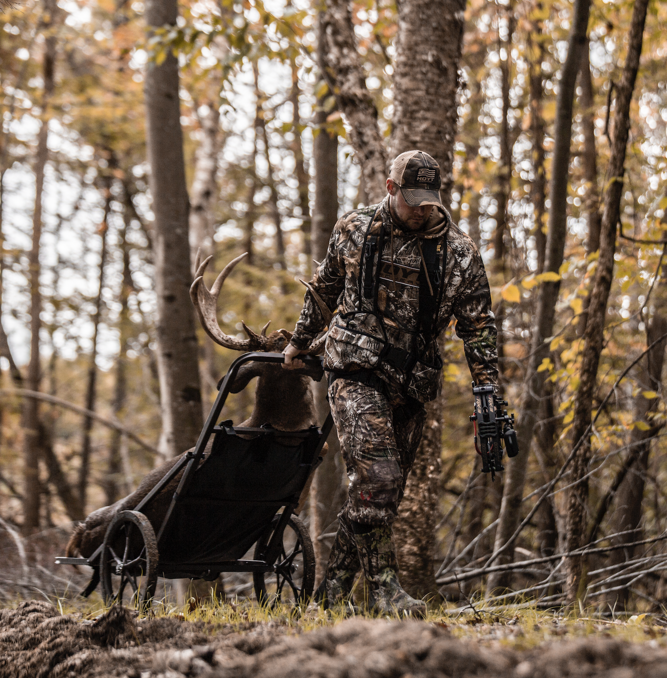 A bowhunter carts a whitetail buck out of the woods