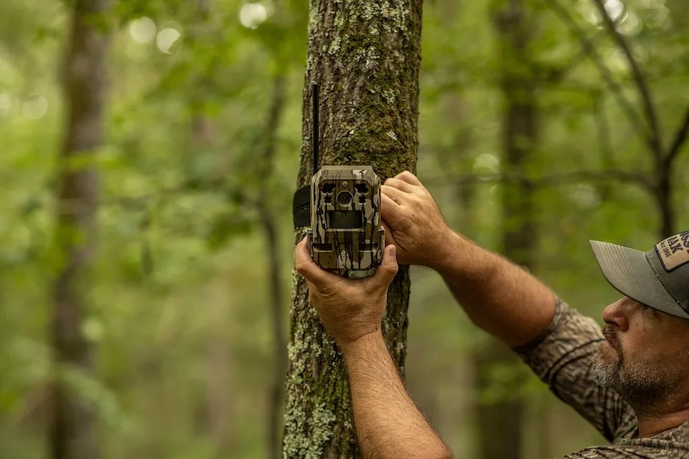 Moultrie cellular trail camera attached to tree