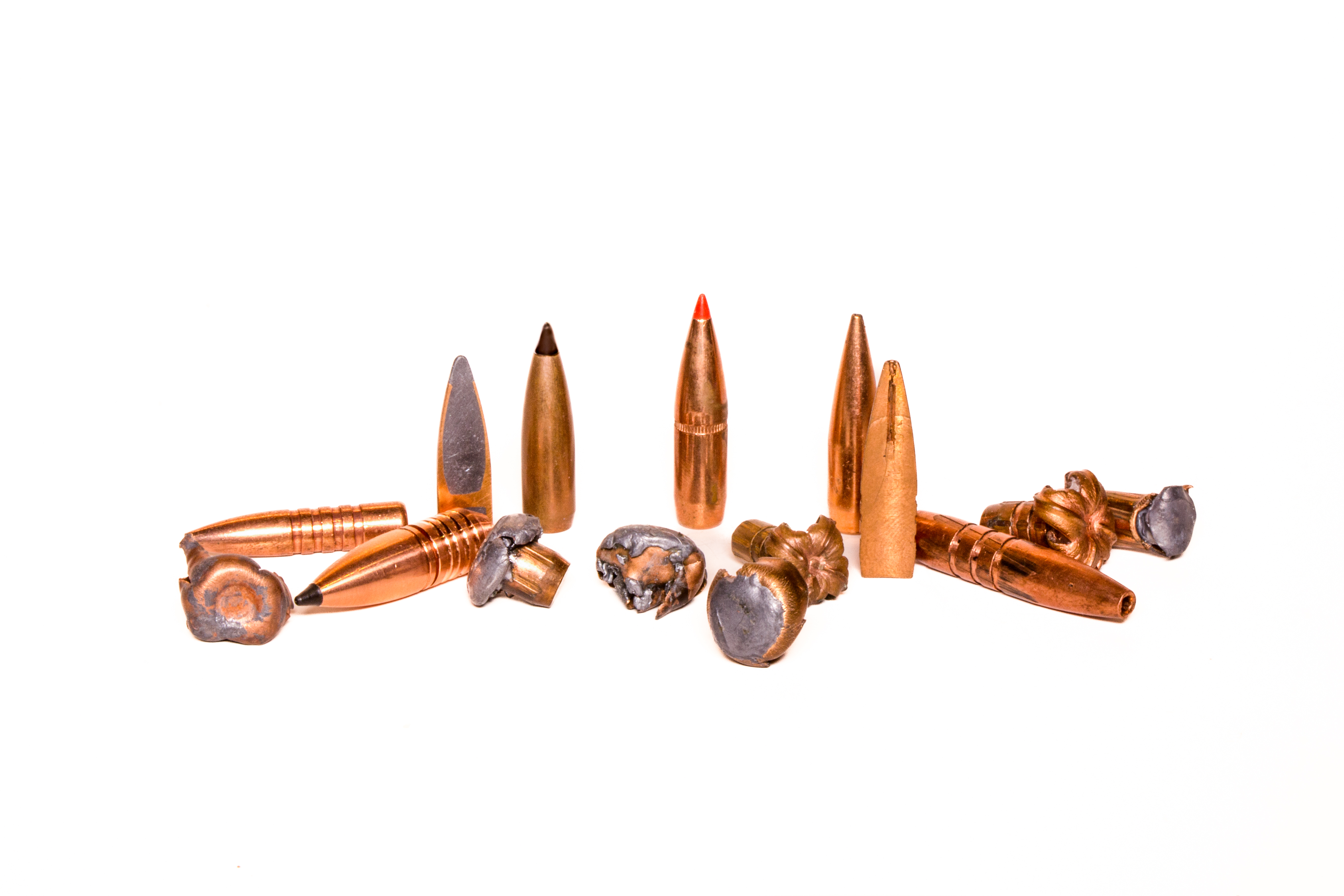 A selection of big-game rifle bullets on a white background.