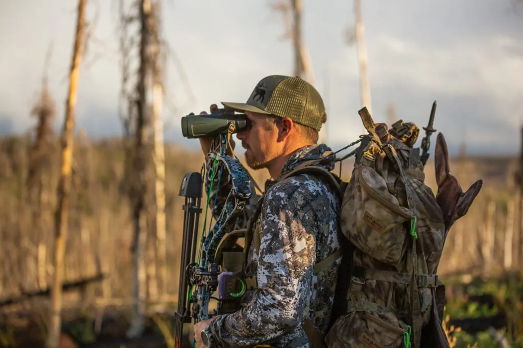 Glassing for elk