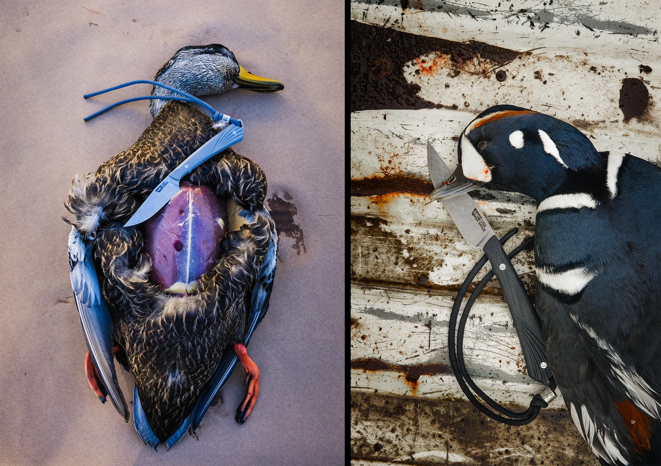 MKC Freezout with black duck and harlequin