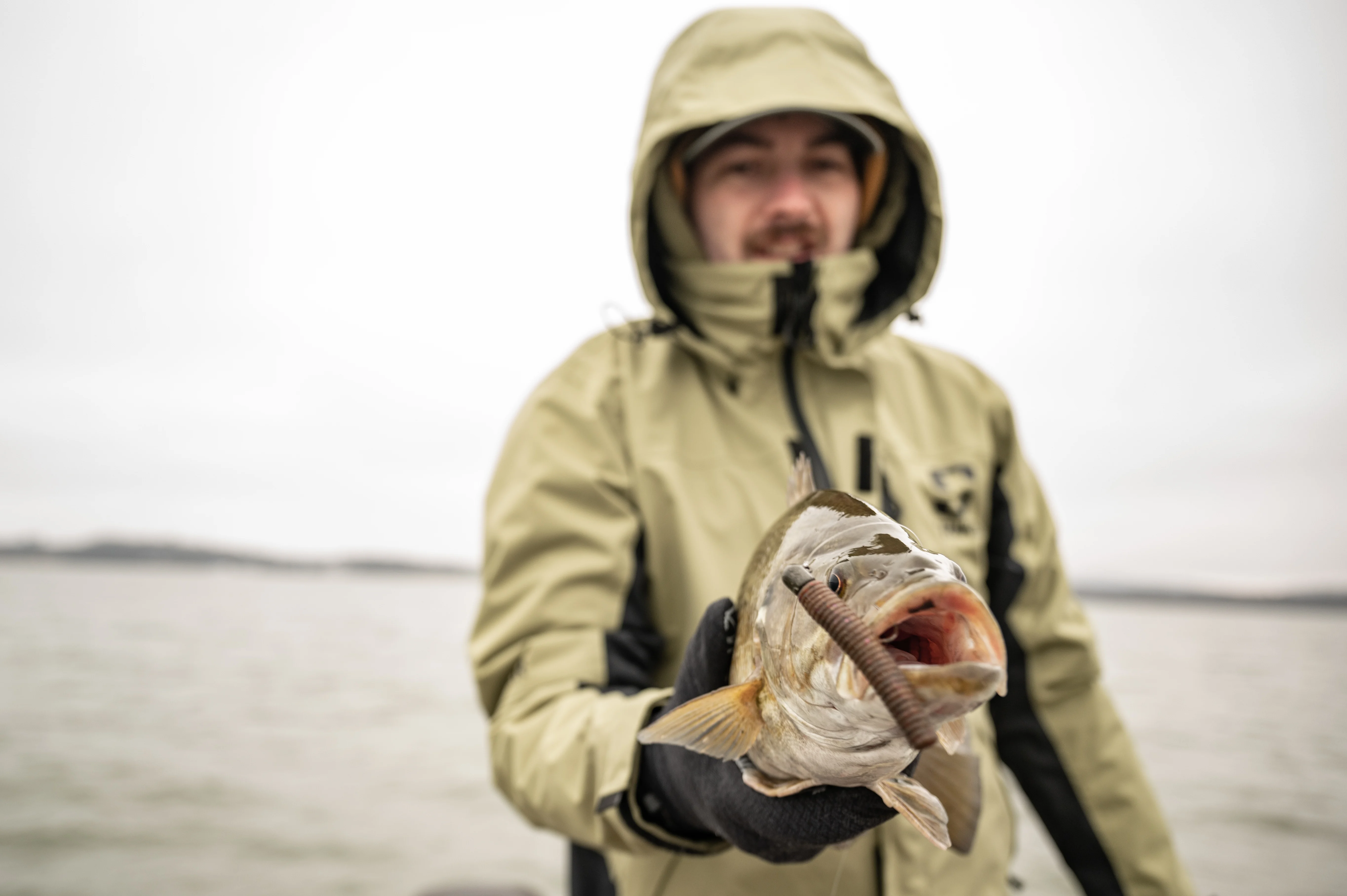 Angler holding smallmouth with ned rig