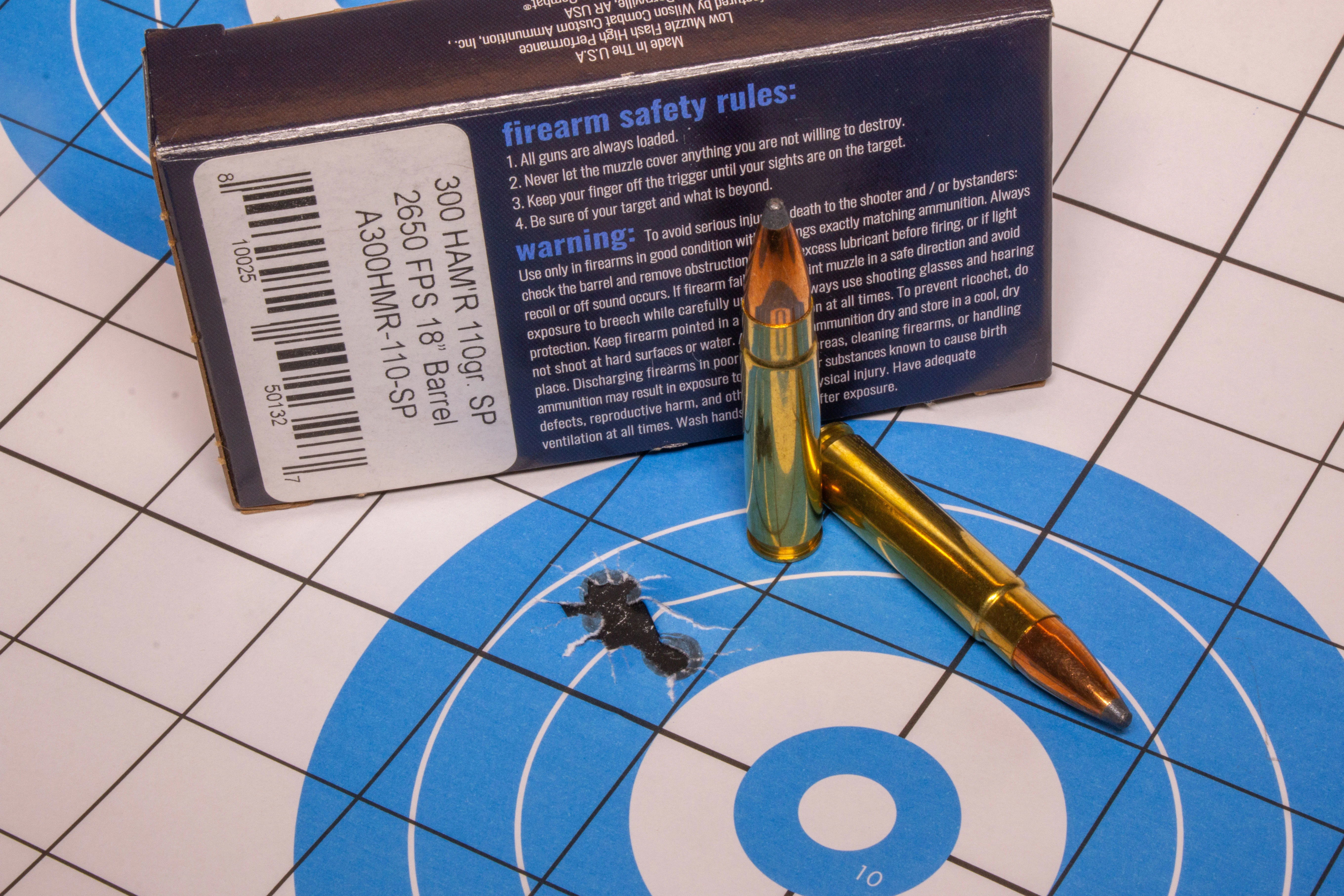 Two 300 HAMR cartridges next to a target.