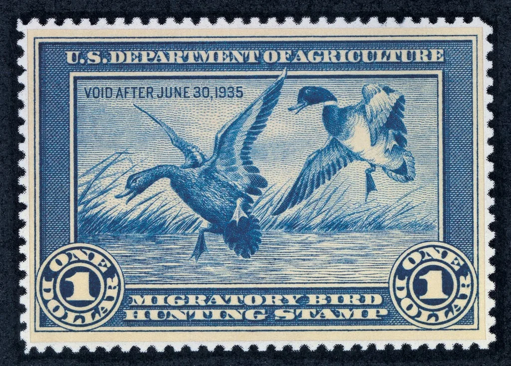 The first ever Federal Duck Stamp