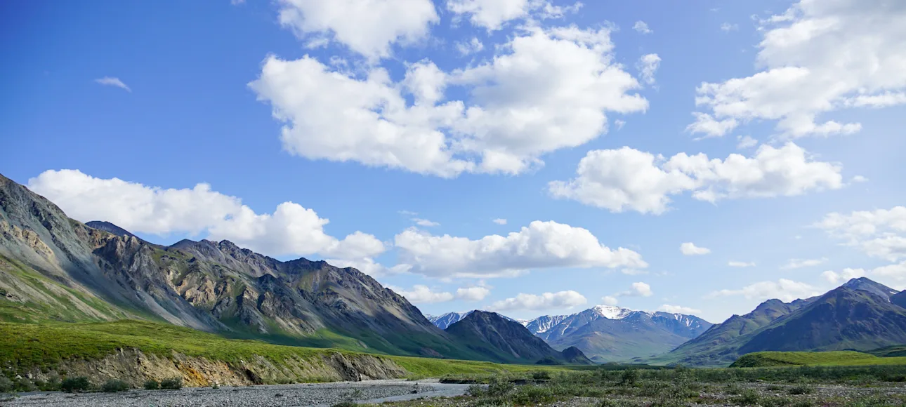 The Arctic National Wildlife Refuge in summer.