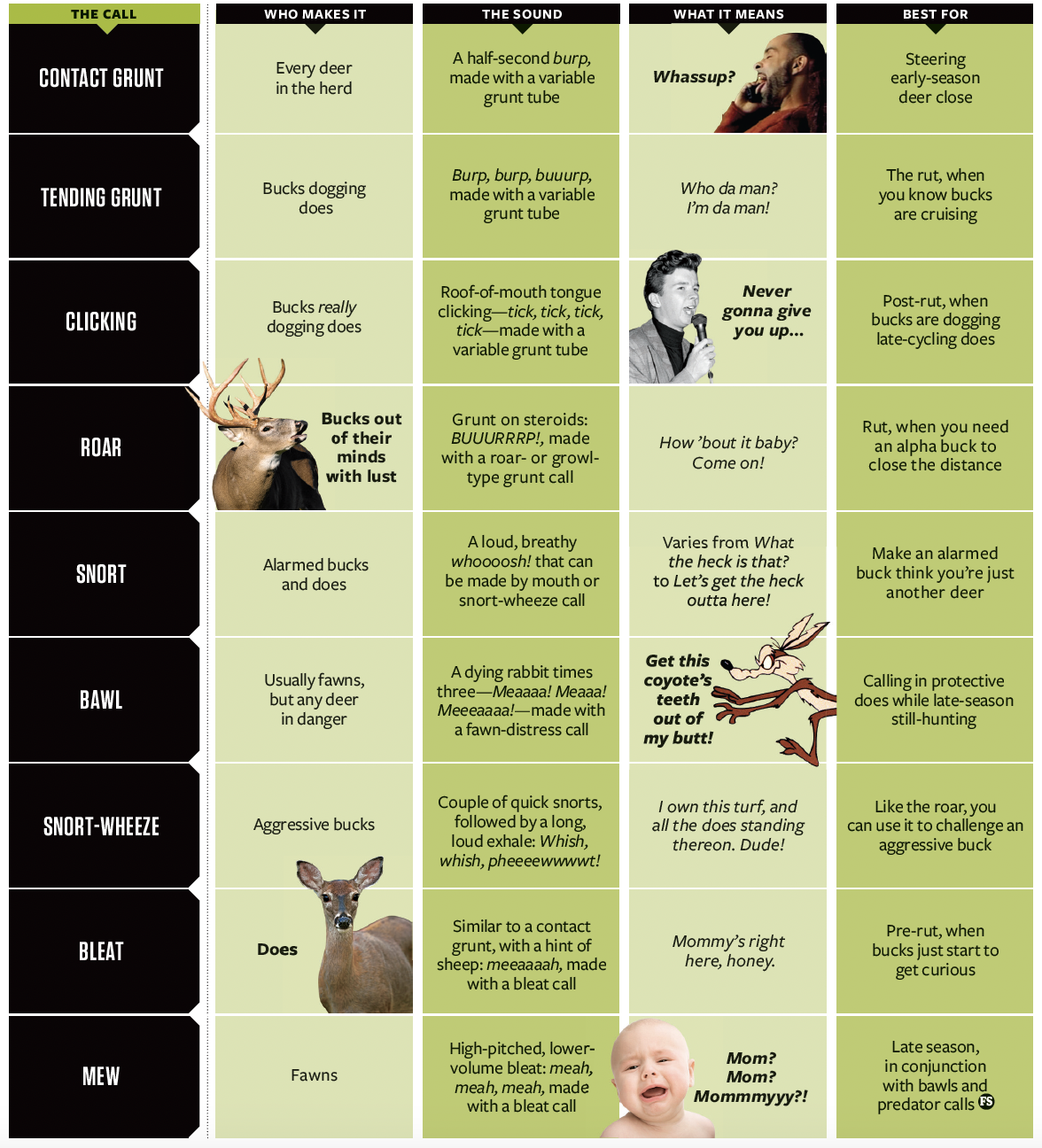 Chart showing 9 deer vocalization, what they mean, and how to imitate them. 