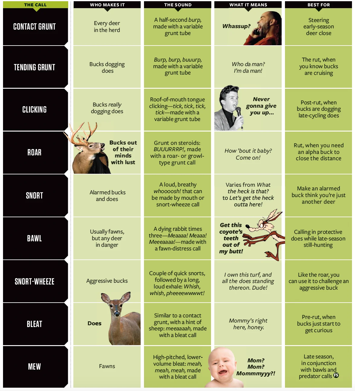 Chart showing 9 deer vocalization, what they mean, and how to imitate them. 