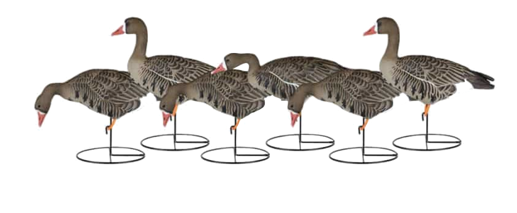 Dakota Decoy Fully Flocked X-Treme Specks