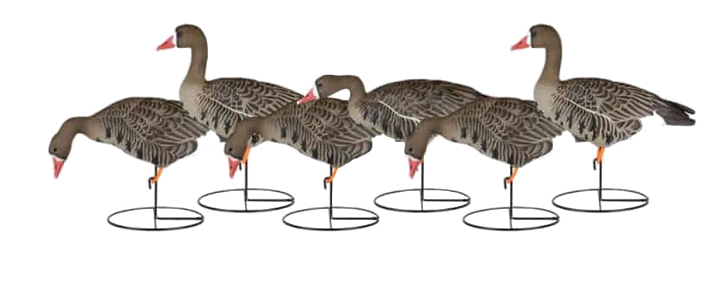 Dakota Decoy Fully Flocked X-Treme Specks