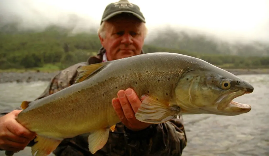 New Zealand trout fishing