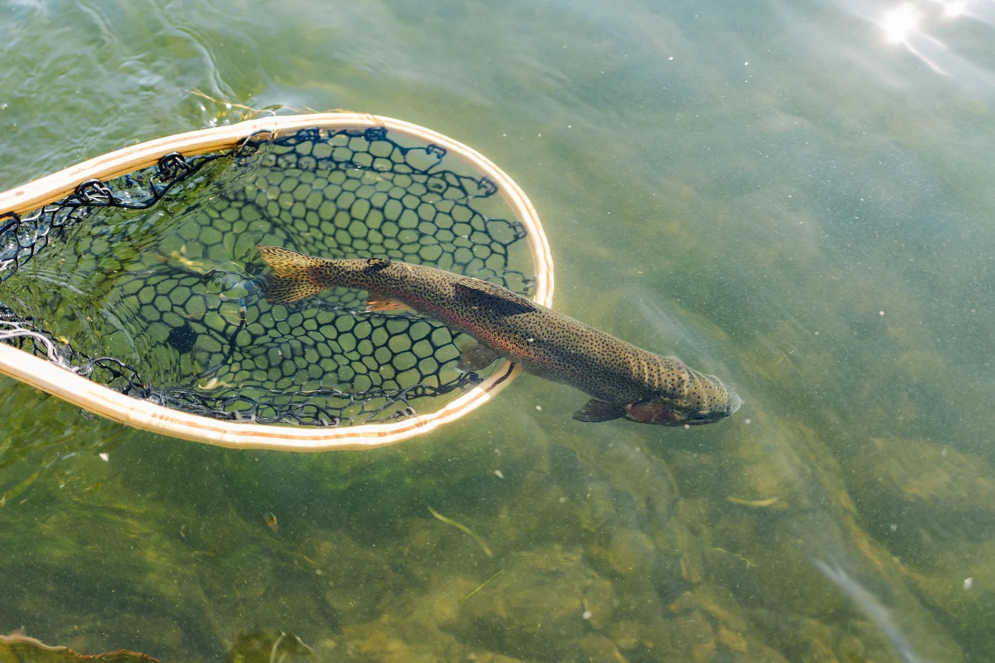 09.23.2025 Field & Stream for VisitMT - Missouri-3