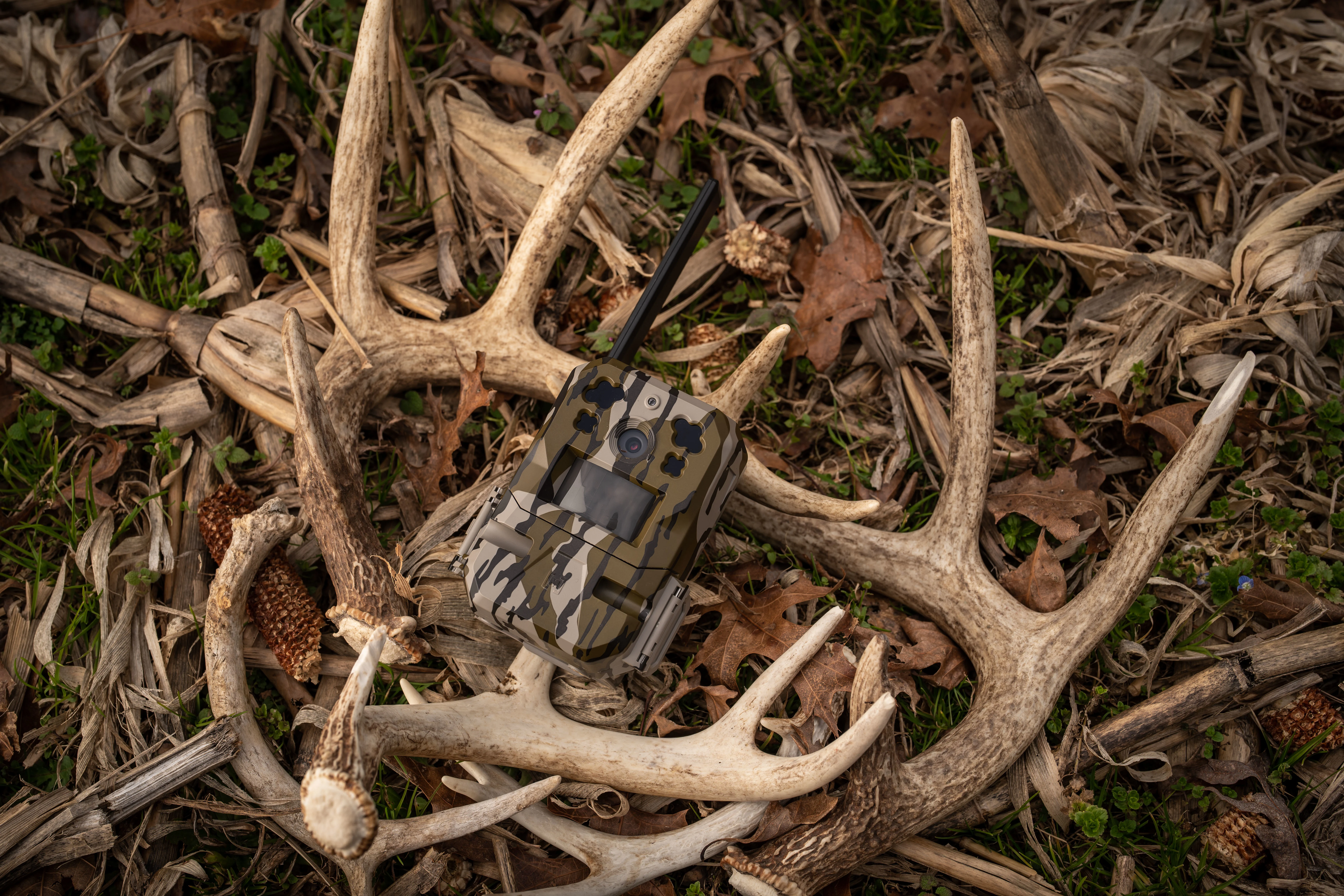 A trail camera sitting on top of whitetail antlers