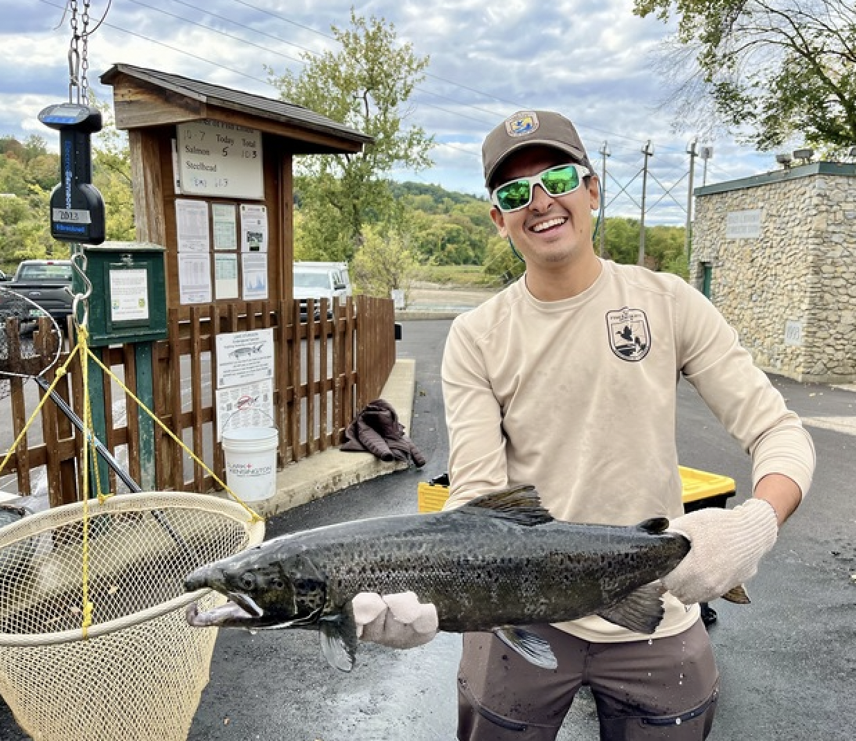 A recently fired fisheries biologist holds a land-locked salmon pulled from a fish ladder in Vermont. 