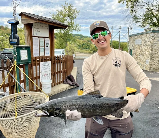 A recently fired fisheries biologist holds a land-locked salmon pulled from a fish ladder in Vermont.