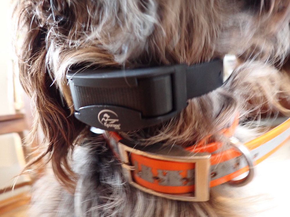 most powerful bark collar