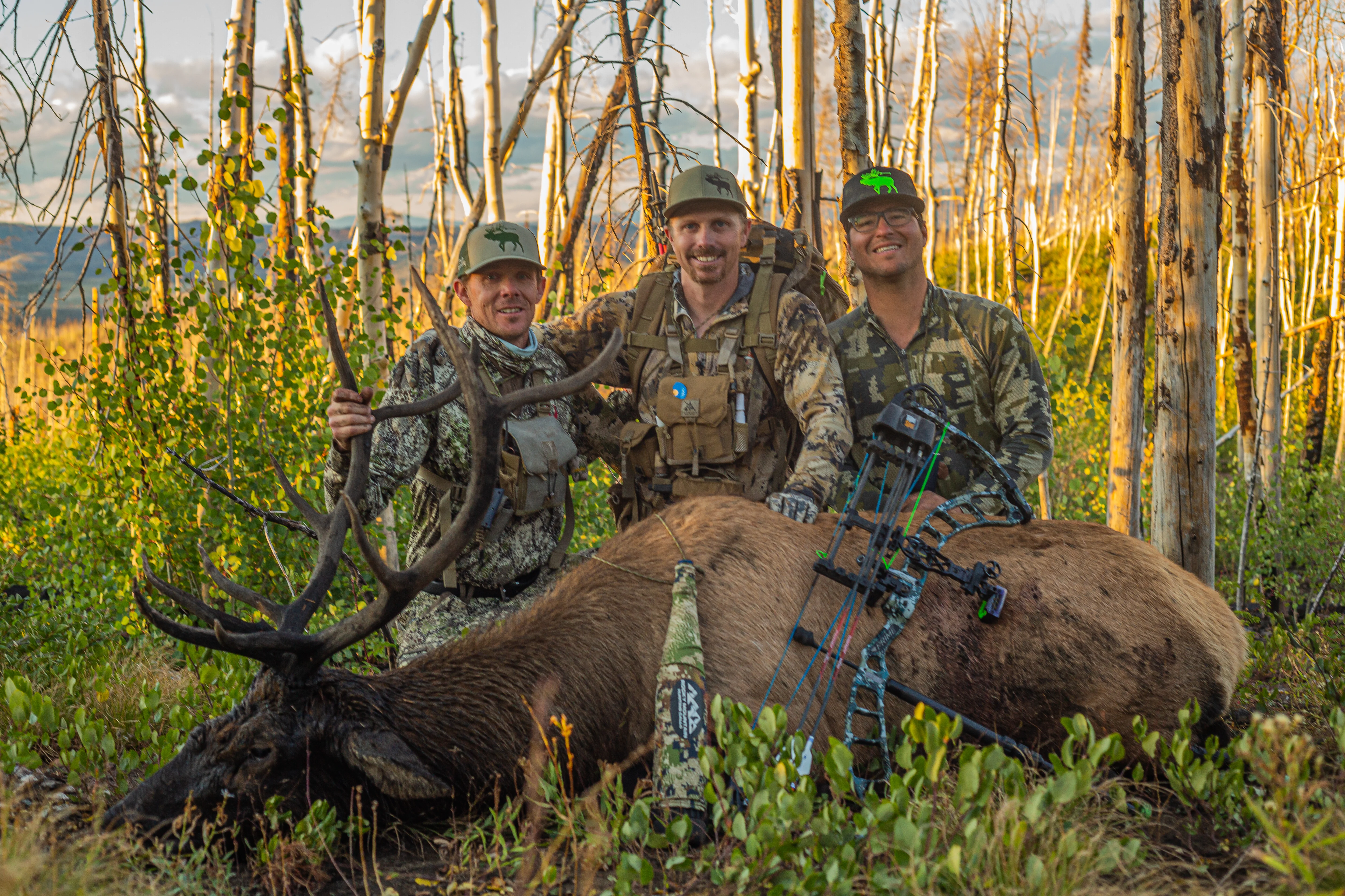 Three archery hunters pose next to an elk taken with a bow