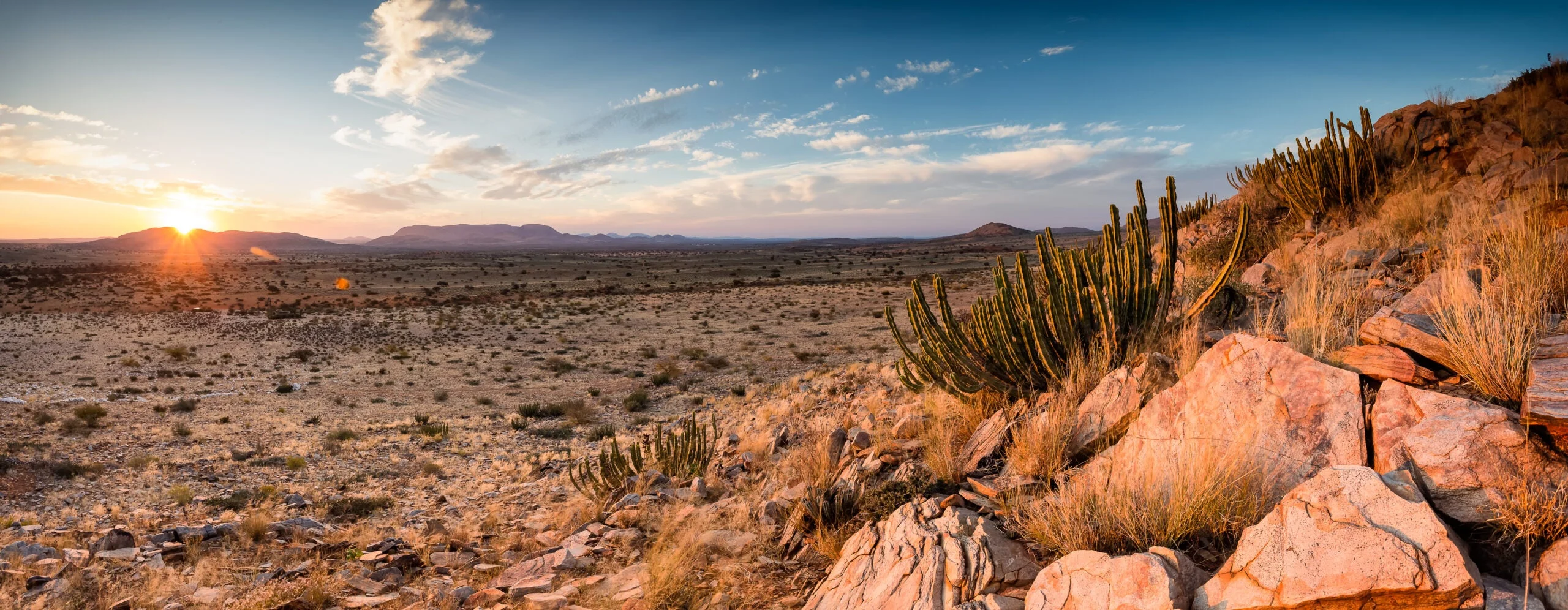 A photo of a desert landscape representing the risk of hyperthermia