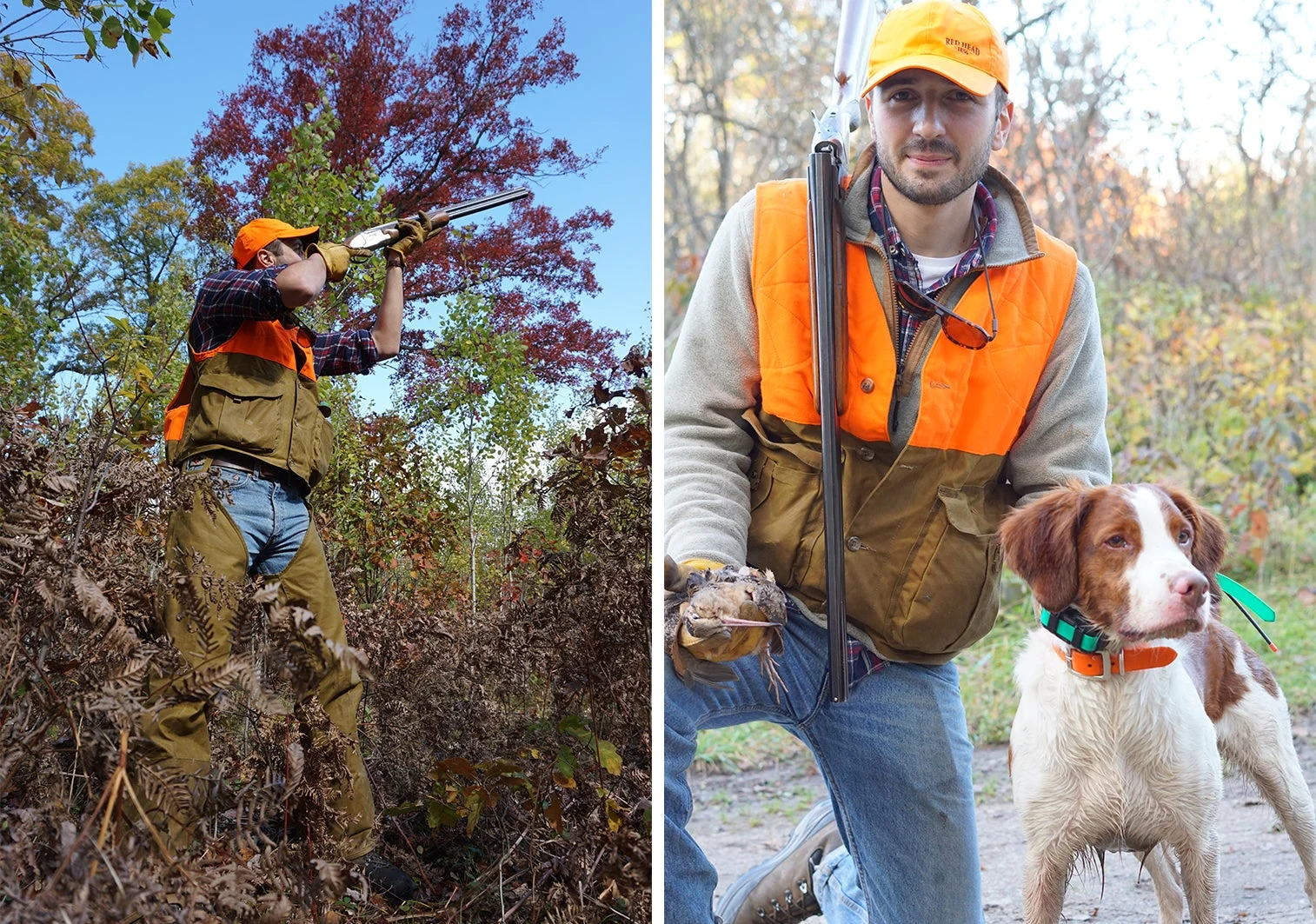 A hunter shooting at woodcock, left, and same hunter holding woodcock, right, with gun dog next to him