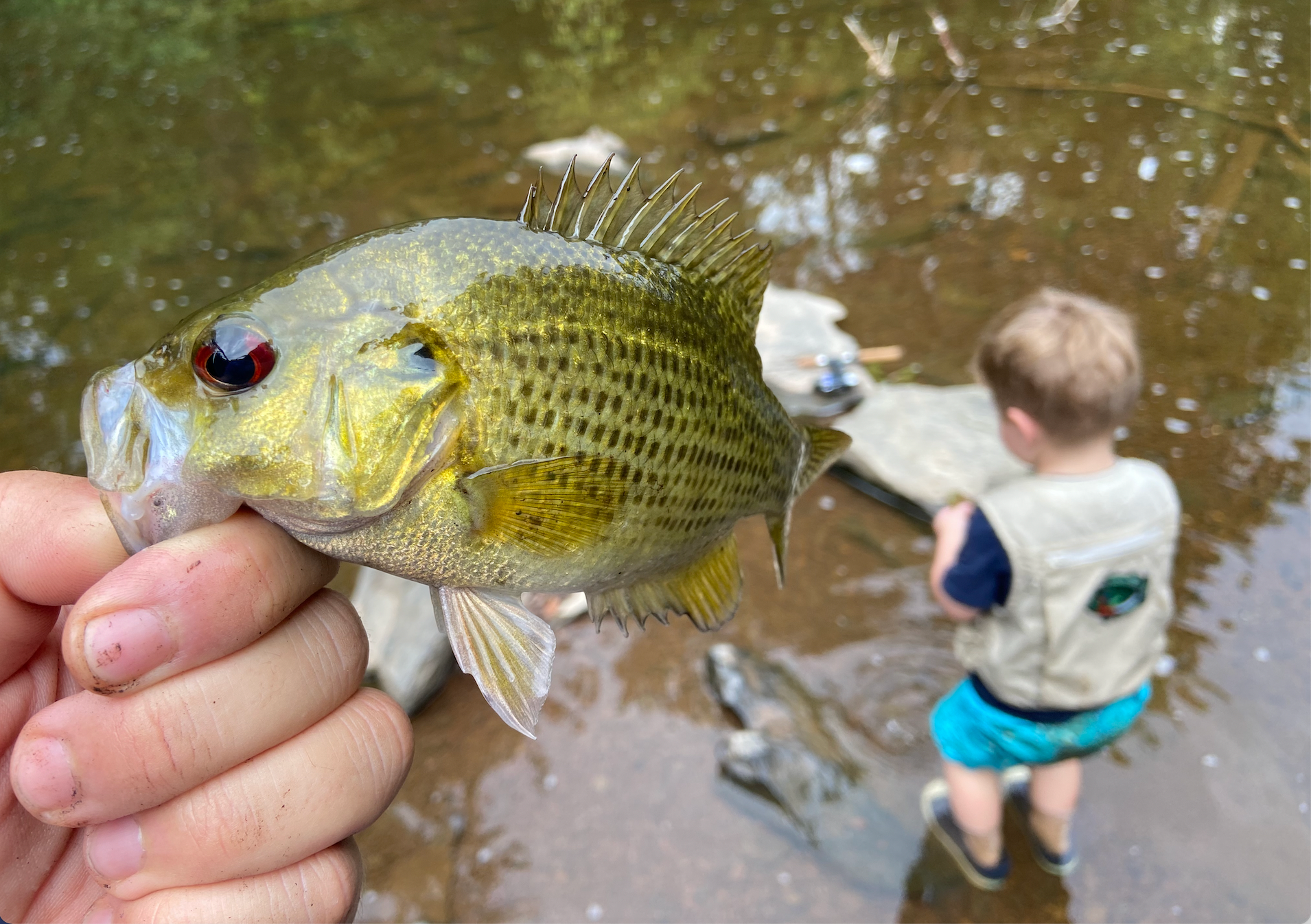 photo of creed fishing with a kid