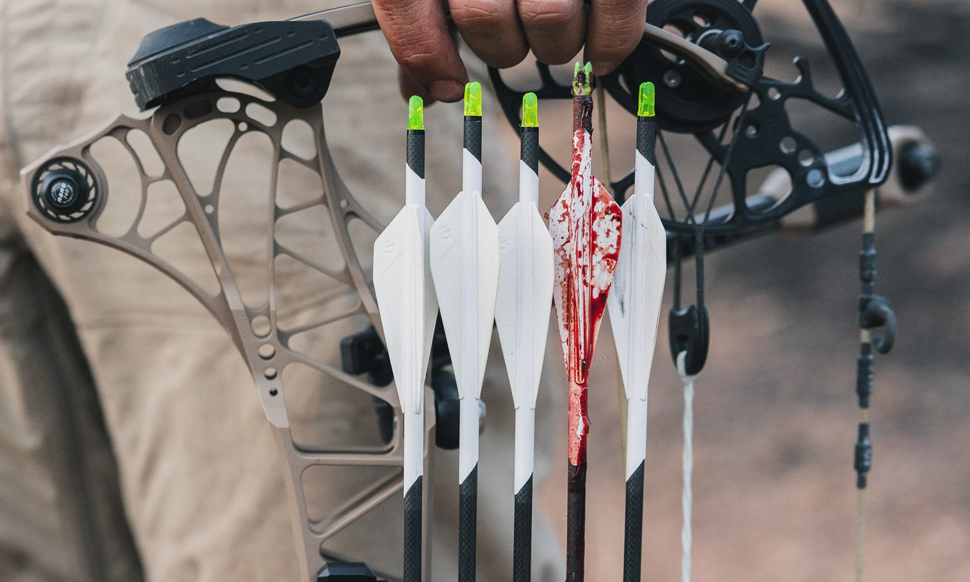 A quiver of five arrows, one smeared with blood. 