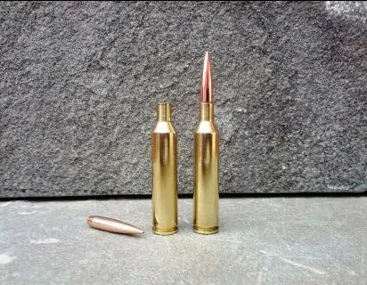 Two rifle cartridges on a stone floor.