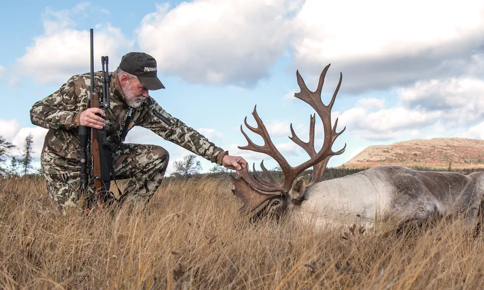 Photo of a hunter admiring a woodland caribou he took with a rifle.