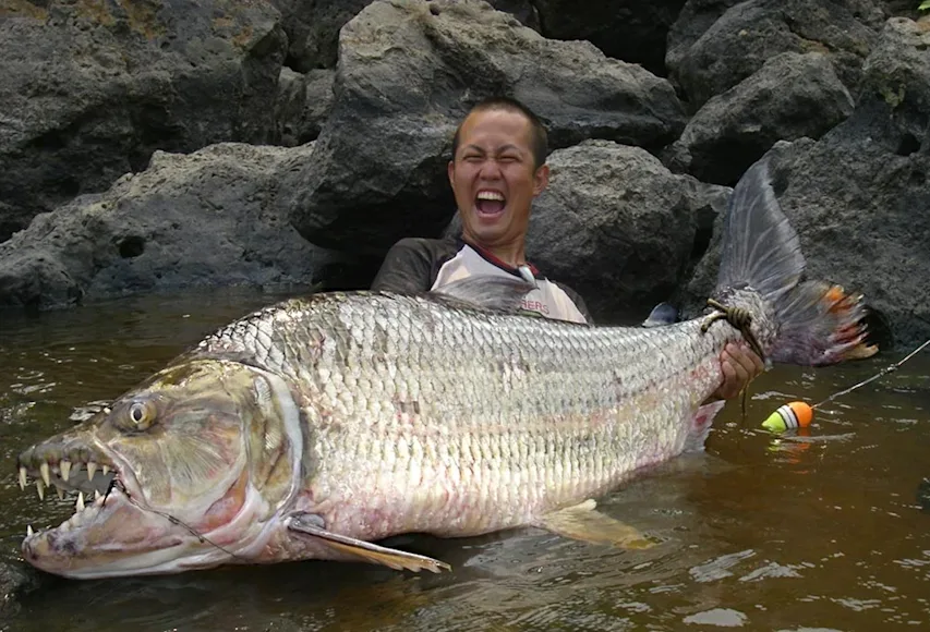 An angler poses with a goliath tigerfish.