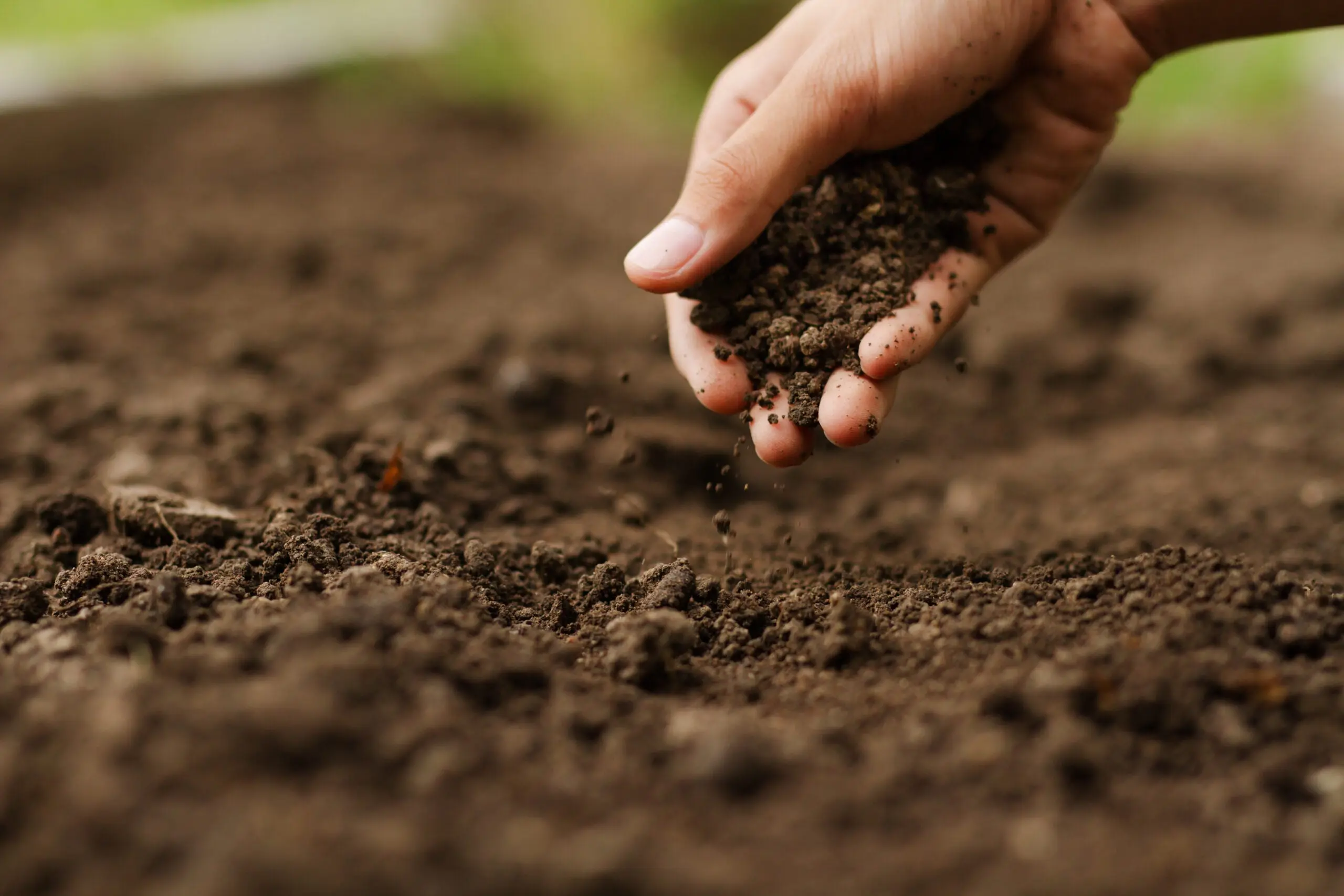 A hand gathering soil for testing in a tilled field.