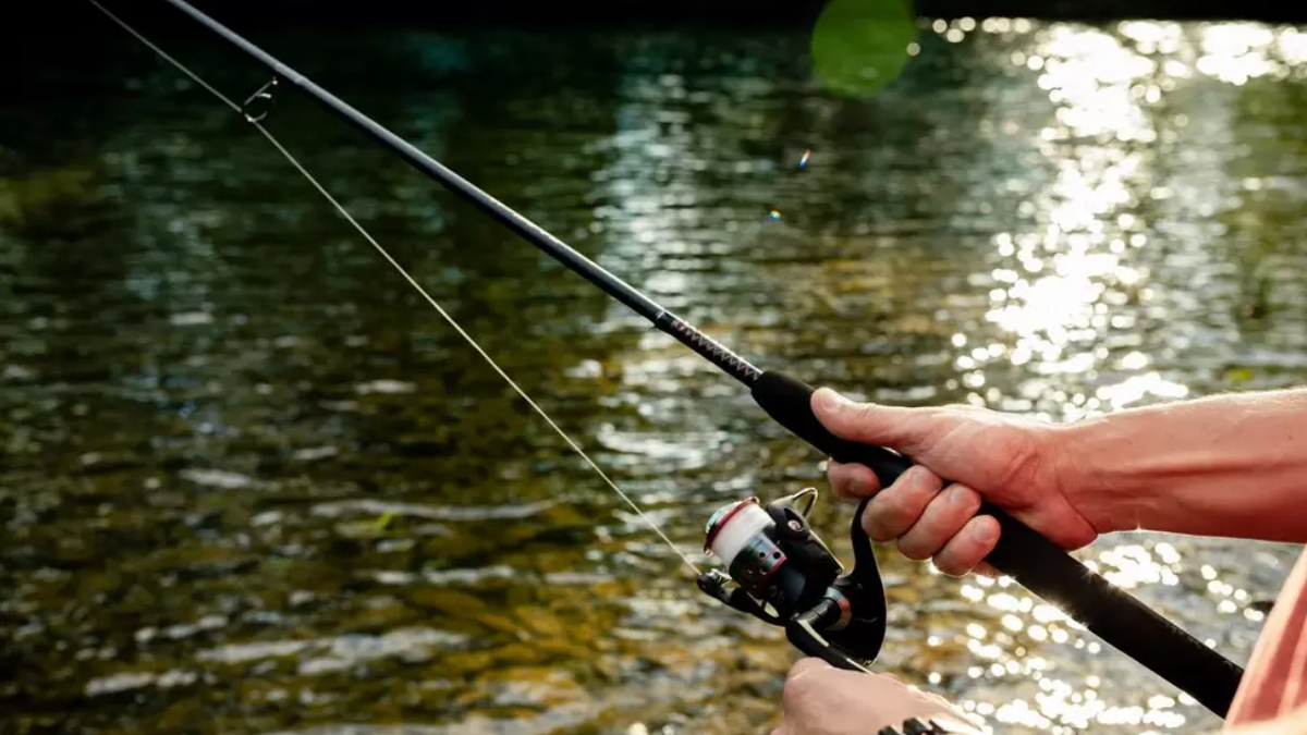 The Ultimate Guide to the Best Travel Fishing Rod: Perfect Companions for Anglers on the Go