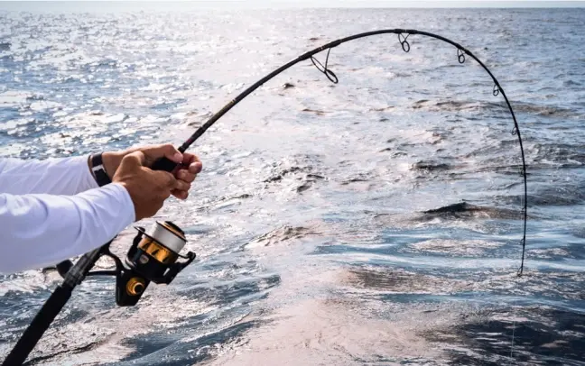 Best Saltwater Rods