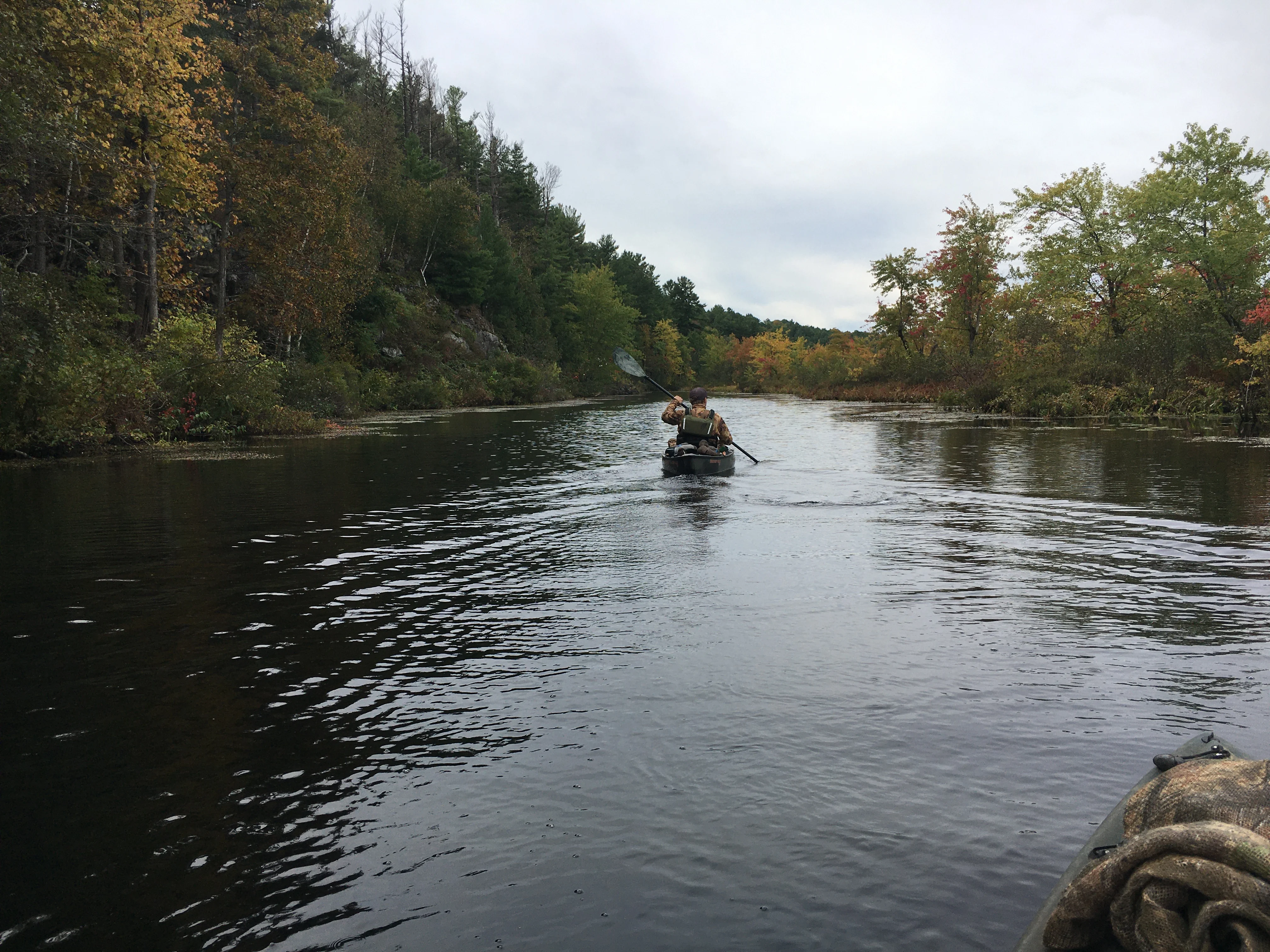 Hunter paddling a canoe down a creek