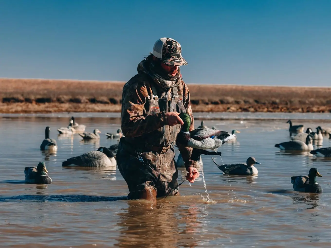 Hunter setting decoy spread