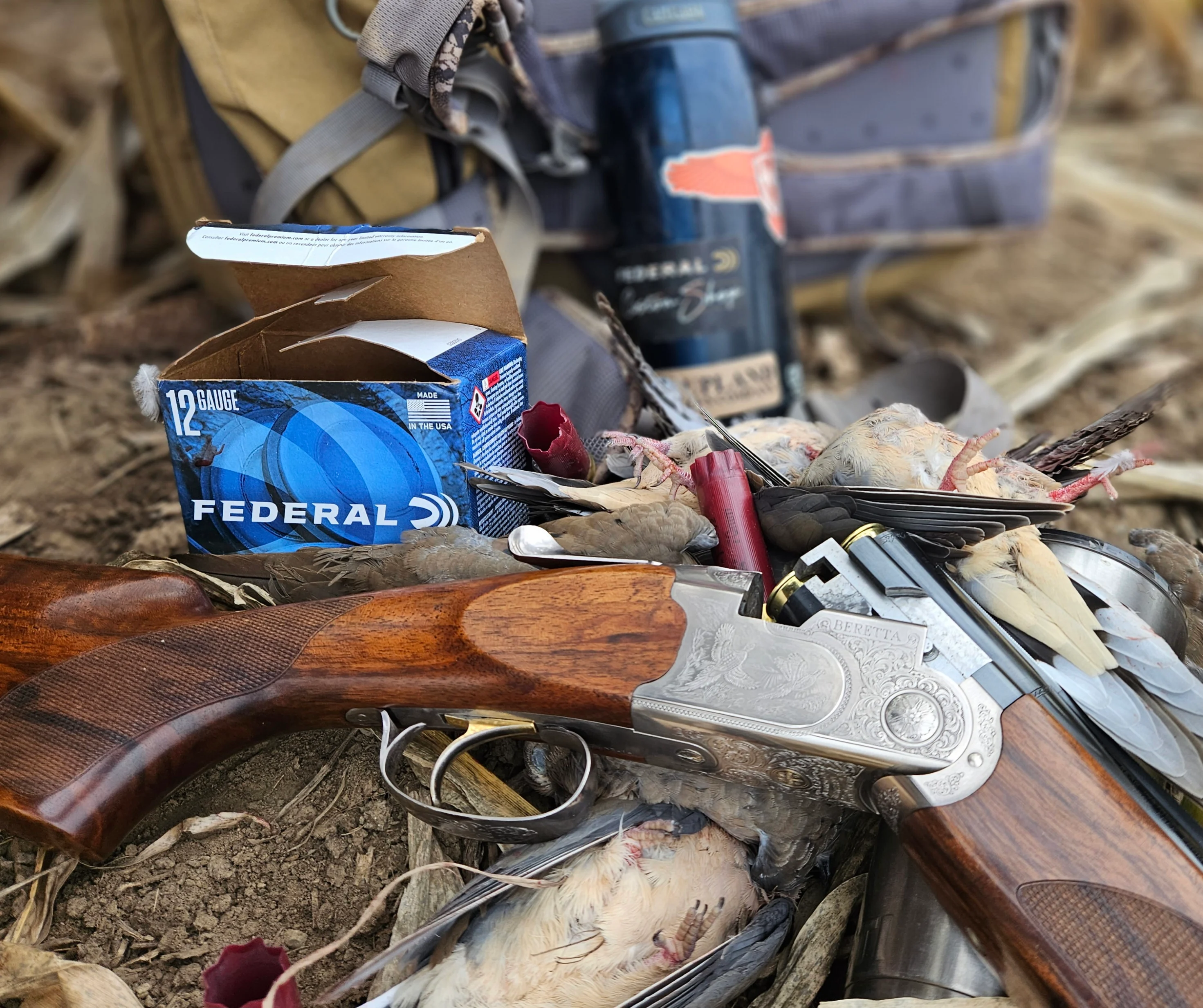 A Beretta 687 over-under shotgun in the field with shotgun shells and mourning doves. 