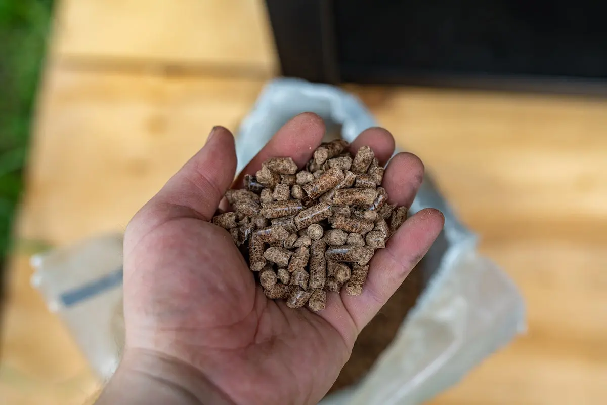 Man holding a handful of wood pellets for smoker