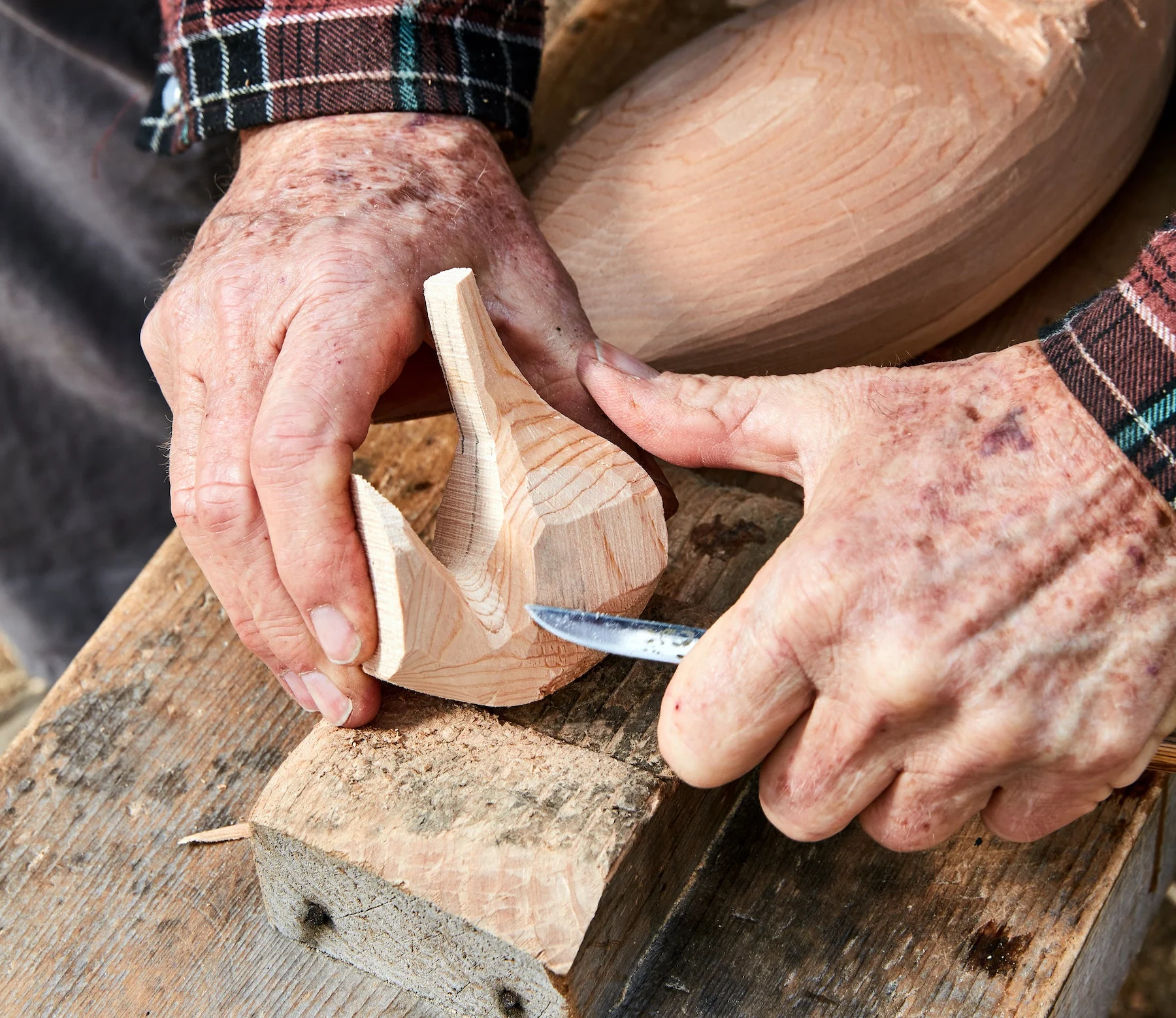 Hands carving a duck decoy head.