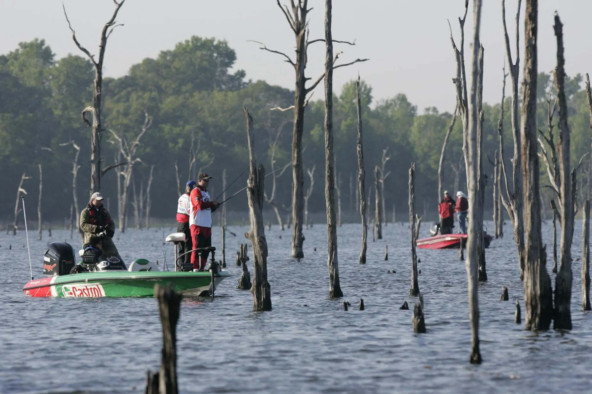 bass angler fish flooded timber on Lake Fork in Texas