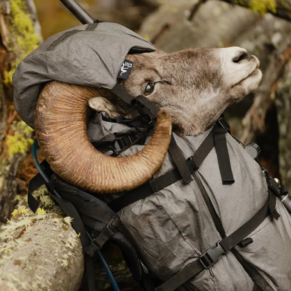 Ram's head in Stone Glacier hunting backpack